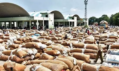 Telangana के एनुमामुला बाजार में कपास की कीमतों में उतार-चढ़ाव से किसान चिंतित Telangana के एनुमामुला बाजार में कपास की कीमतों में उतार-चढ़ाव से किसान चिंतित