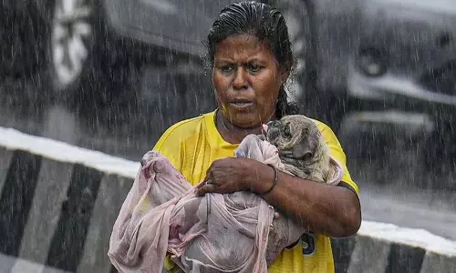 Rain stopped in Chennai, स्टालिन ने कहा- अधिकांश स्थानों पर जलभराव समाप्त हो गया