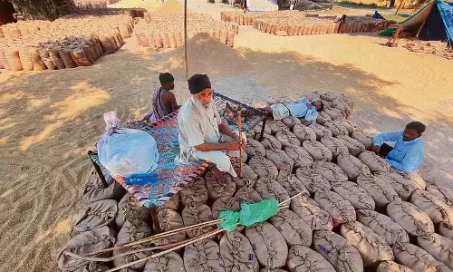 Mandis में धान की अधिकता, पंचायत चुनावों के कारण खरीद और उठान पर असर