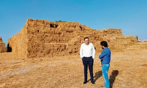 Haryana : धान की पराली के प्रबंधन के लिए कृषि विभाग ने बनाई Haryana : धान की पराली के प्रबंधन के लिए कृषि विभाग ने बनाई