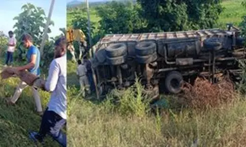 Telangana: जंगली जानवरों को ले जा रहा ट्रक पलटा, भागे मगरमच्छों को फिर से पकड़ा गया