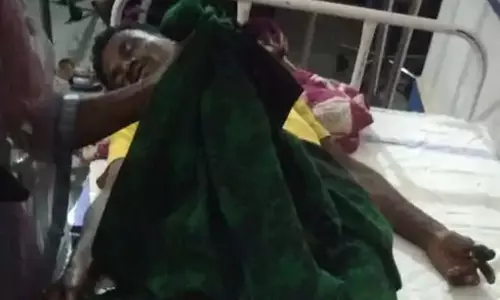 हाथी का हमला, गंभीर रूप से 2 ग्रामीण घायल हाथी का हमला, गंभीर रूप से 2 ग्रामीण घायल