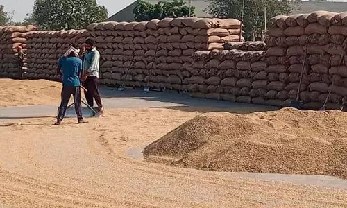 Haryana : यमुनानगर से 40 प्रतिशत खरीदा गया धान उठाया गया Haryana : यमुनानगर से 40 प्रतिशत खरीदा गया धान उठाया गया