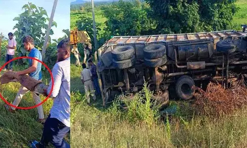 Telangana: ट्रक पलटने के बाद दो मगरमच्छों को फिर से पकड़ा गया Telangana: ट्रक पलटने के बाद दो मगरमच्छों को फिर से पकड़ा गया
