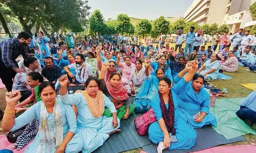 Punjab and Haryana HC ने पीजीआई के हड़ताली कर्मचारियों को काम पर लौटने को कहा Punjab and Haryana HC ने पीजीआई के हड़ताली कर्मचारियों को काम पर लौटने को कहा