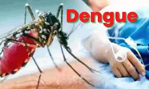 Indore के 14 इलाकों में डेंगू बुखार के 14 नए मरीज मिले