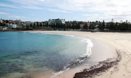 Australia: सिडनी के समुद्र तटों को बंद करने के लिए मजबूर करने वाले मलबे की पहचान टार बॉल के रूप में की गई