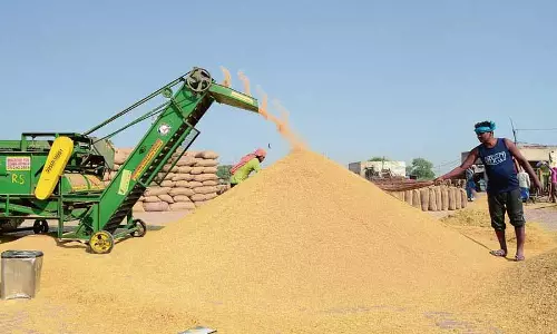 Jalandhar: मंडियों में 22,000 मीट्रिक टन धान की आवक, उठान अभी भी धीमी गति से Jalandhar: मंडियों में 22,000 मीट्रिक टन धान की आवक, उठान अभी भी धीमी गति से
