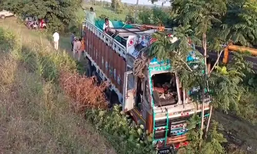 Telangana: लुप्तप्राय मगरमच्छों और अन्य जानवरों को ले जा रहा ट्रक पलटा, चालक के खिलाफ केस दर्ज Telangana: लुप्तप्राय मगरमच्छों और अन्य जानवरों को ले जा रहा ट्रक पलटा, चालक के खिलाफ केस दर्ज