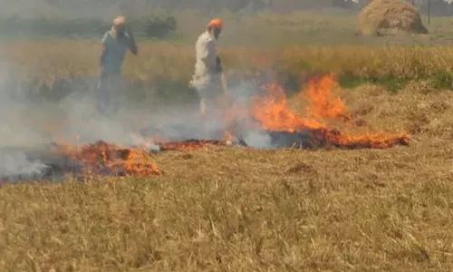 Amritsar में पराली जलाने पर 11 किसानों पर मामला दर्ज Amritsar में पराली जलाने पर 11 किसानों पर मामला दर्ज