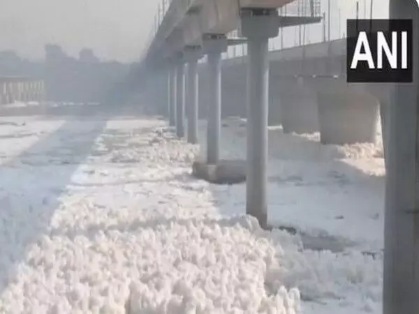 Delhi : कालिंदी कुंज इलाके में यमुना नदी पर जहरीला झाग तैरता दिखा