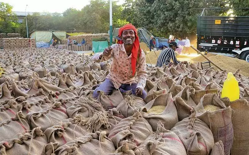 Jalandhar: फसल कटाई को लेकर किसान असमंजस में