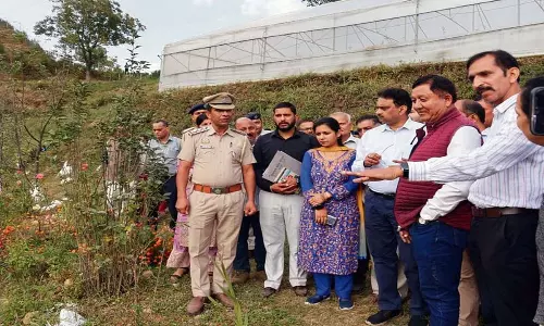 Himachal: मंत्री नेगी ने मंडी में फल प्रजनन उद्यान का निरीक्षण किया Himachal: मंत्री नेगी ने मंडी में फल प्रजनन उद्यान का निरीक्षण किया