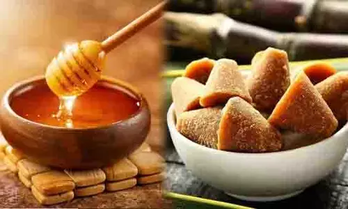 Health:   जानें गुड़ और शहद में से कौन देगा आपकी सेहत को  फायदा