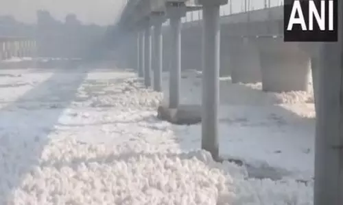 Delhi : कालिंदी कुंज इलाके में यमुना नदी पर जहरीला झाग तैरता दिखा