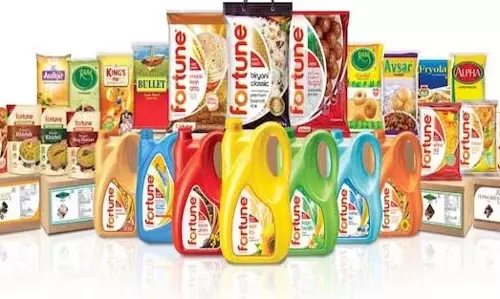 Adani Wilmar शेयर 0.17% ऊपर