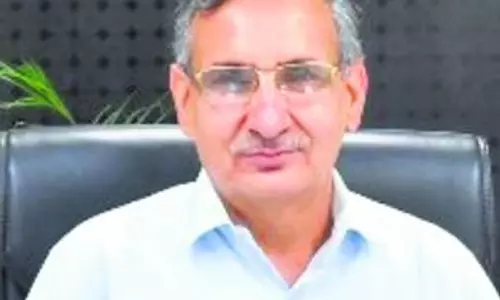 Haryana : सरकार की फसल विविधीकरण योजनाओं का लाभ उठाएं Haryana : सरकार की फसल विविधीकरण योजनाओं का लाभ उठाएं
