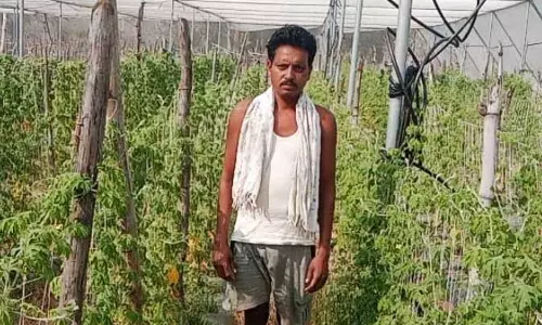 राष्ट्रीय कृषि विकास योजना से कावेराम हो रहा आर्थिक रूप से सशक्त
