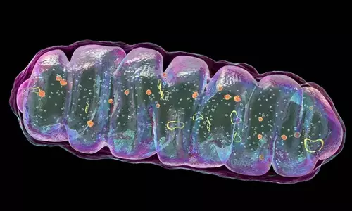 Mitochondria की खराबी से हो सकता है क्रोहन रोग