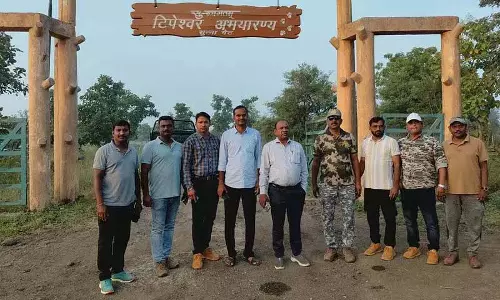 वन अधिकारियों ने बड़ी बिल्लियों के संरक्षण का अध्ययन करने के लिए Tipeshwar टाइगर रिजर्व का दौरा किया