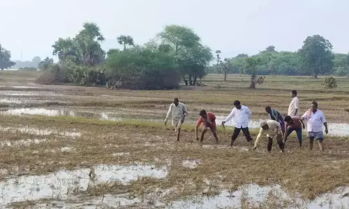 Rayalaseema में भारी बारिश से फसलों को नुकसान Rayalaseema में भारी बारिश से फसलों को नुकसान