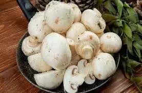 Mushroom benefits: वजन घटाने से लेकर खूबसूरत त्वचा तक, मशरूम खाने के फायदे