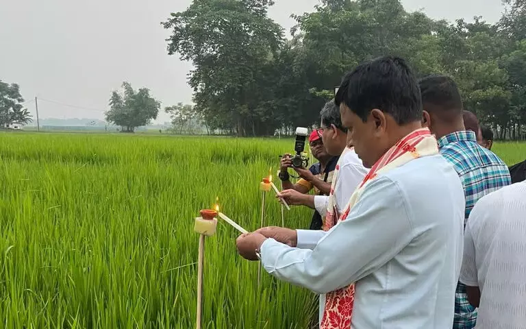 Assam : धुबरी जिला कृषि कार्यालय ने मधुसोलमारी गांव में काति बिहू मनाया