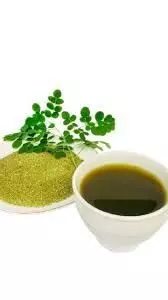 Moringa Tea Benefits: मोरिंगा चाय से कम हो सकती है बाहर निकली हुई तोंद