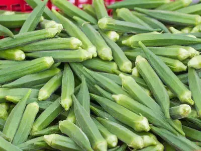 Ladyfinger को ताजा रखने के टिप्स