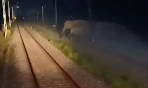 OMG! रेल हादसा टलने का VIDEO, AI ने कर दिया कमाल OMG! रेल हादसा टलने का VIDEO, AI ने कर दिया कमाल