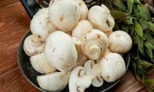 Mushroom benefits: वजन घटाने से लेकर खूबसूरत त्वचा तक, मशरूम खाने के फायदे