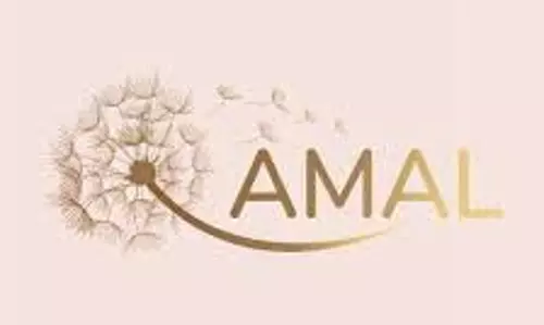 AMAL Q2 परिणाम: लाभ में 222.31% की वार्षिक वृद्धि