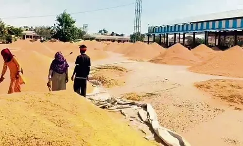Haryana : सरकारी आश्वासन के बावजूद हिसार में किसान एमएसपी से कम दाम पर धान बेचने को मजबूर Haryana : सरकारी आश्वासन के बावजूद हिसार में किसान एमएसपी से कम दाम पर धान बेचने को मजबूर