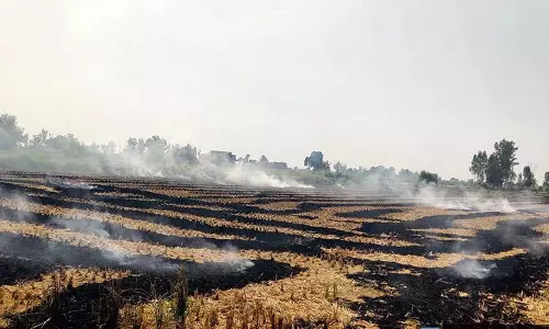 Haryana : सोनीपत में एफआईआर सबसे ज्यादा,आग लगने की 575 घटनाएं दर्ज Haryana : सोनीपत में एफआईआर सबसे ज्यादा,आग लगने की 575 घटनाएं दर्ज