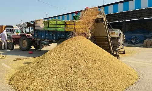 Haryana : अंबाला के धान किसान धीमी उठान से चिंतित