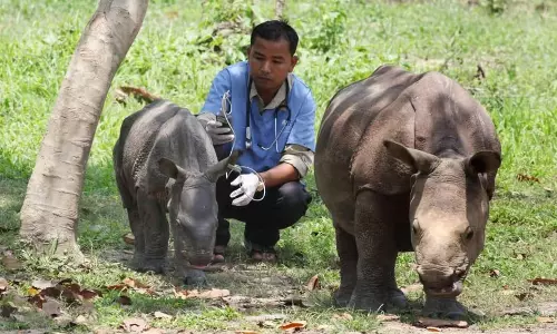 Assam के डॉ. पंजीत बसुमतारी को लंदन में पशु कल्याण पुरस्कार से सम्मानित किया