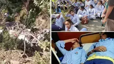 Haryana: सड़क हादसे का शिकार हुई स्कूल की बस , बच्चे घायल चालक की दोनों टांगे टूटी Haryana: सड़क हादसे का शिकार हुई स्कूल की बस , बच्चे घायल चालक की दोनों टांगे टूटी