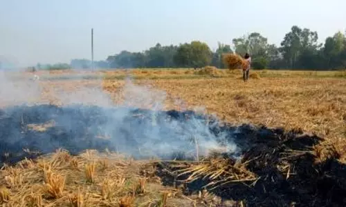 पराली के लिए एमएसपी तय करें हरियाणा सरकार: Hooda पराली के लिए एमएसपी तय करें हरियाणा सरकार: Hooda