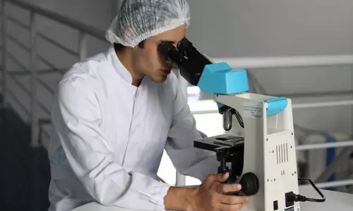 शोधकर्ताओं ने PFAS, किडनी की कार्यप्रणाली और आंत के स्वास्थ्य के बीच संबंध पाया