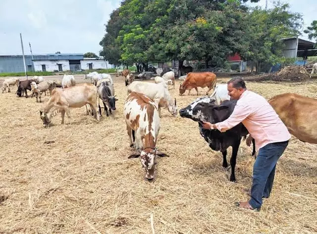 गौ-संरक्षक सेवा समिति (जीएसएसएस) कृषि एवं मानव स्वास्थ्य में जागरूकता का जन्म कर रही