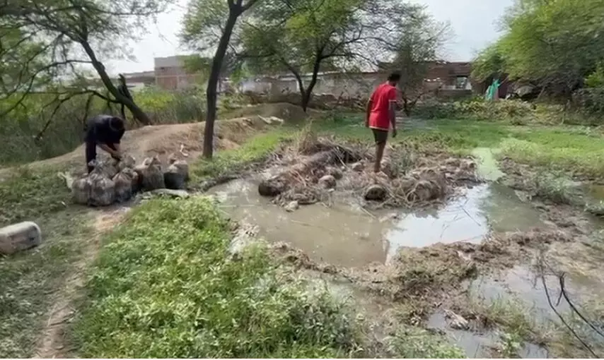 किचन डबरी से महुआ लहान जब्त, आबकारी विभाग ने रेड मारकर किया पर्दाफाश