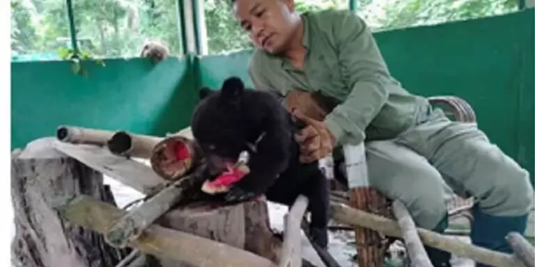 Arunachal : डॉ. पंजीत बसुमतारी को ‘पशु कल्याण क्षेत्र पशु चिकित्सा पुरस्कार’ मिला