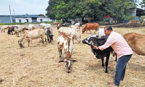 गौ-संरक्षक सेवा समिति (जीएसएसएस) कृषि एवं मानव स्वास्थ्य में जागरूकता का जन्म कर रही