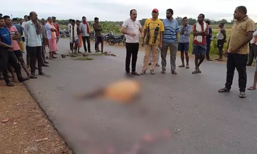 हाईवा ने छात्रों को रौंदा, दोनों की स्पॉट पर मौत