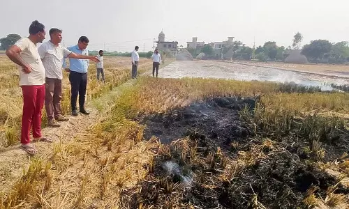Haryana : कैथल में वायु गुणवत्ता सूचकांक 372 पर, वायु गुणवत्ता सूचकांक ‘बेहद खराब’