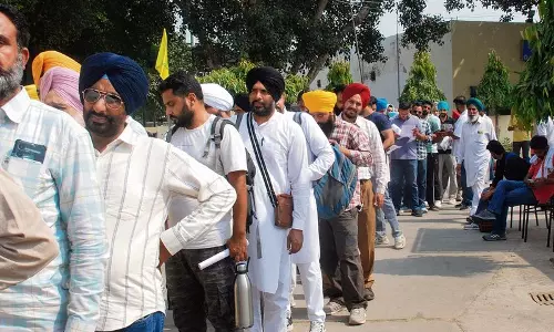 Haryana :  गेहूं की नई किस्मों के बीज लेने के लिए शोध संस्थान में उमड़े किसान