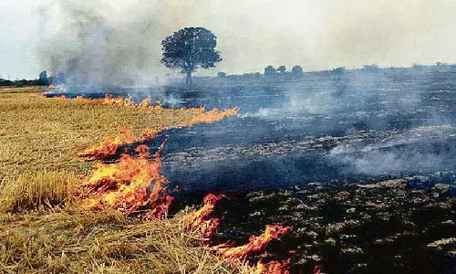 Haryana : पराली जलाना किसान नेता ने कहा किसानों के खिलाफ एफआईआर दर्ज