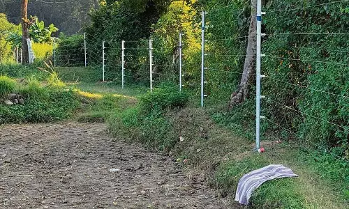 Sirmaur में मानव-हाथी संघर्ष को समाप्त करने के लिए सौर बाड़ लगाई जाएगी