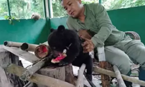 Arunachal : डॉ. पंजीत बसुमतारी को ‘पशु कल्याण क्षेत्र पशु चिकित्सा पुरस्कार’ मिला