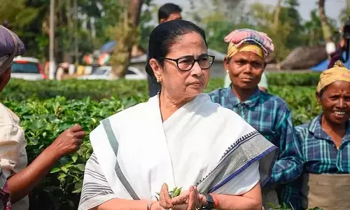 TMC ने पश्चिम बंगाल की 6 विधानसभा सीटों पर उपचुनाव के लिए उम्मीदवारों की घोषणा की TMC ने पश्चिम बंगाल की 6 विधानसभा सीटों पर उपचुनाव के लिए उम्मीदवारों की घोषणा की